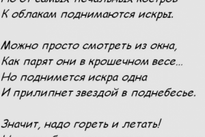 Звёздному шефу