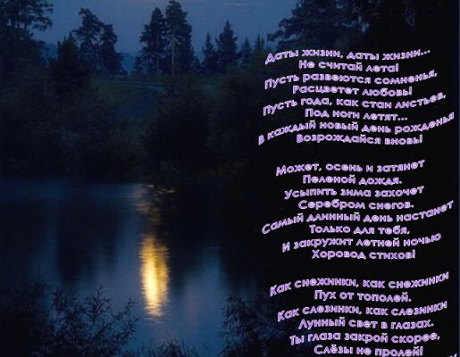 img3297970.png