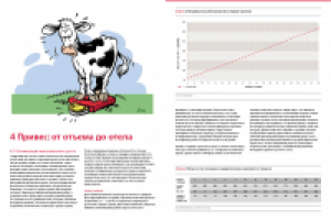 Верстка брошюры