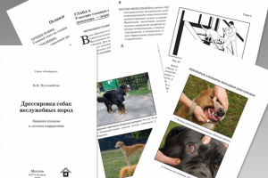 Дрессировка собак неслужебных пород