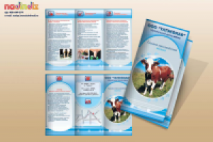 Буклет Татэколаб