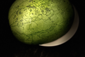 Рилс о здоровом питании