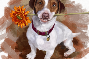 скетч собака джек рассел