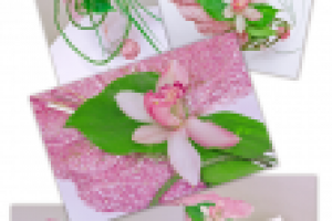 композиция с живым цветком