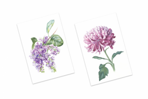 Открытки с авторскими акварельными иллюстрациями