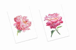 Открытки с авторскими акварельными иллюстрациями