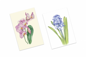 Открытки с авторскими акварельными иллюстрациями