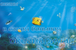 самый большой океанариум