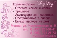 img639384.png