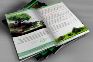 Акваруимный навигатор, дизайн и верстка