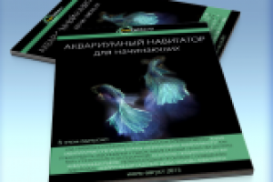 Аквариумный навигатор для начинающих