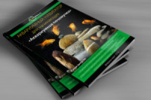 Аквариумная почемучка