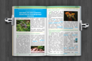 Аквариумная почемучка, внутренний разворот