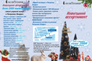 Буклет новогодний