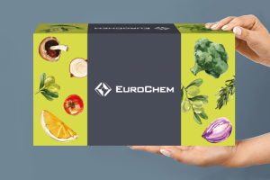 Дизайн подарочной коробки