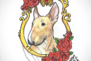 Работа 2721378