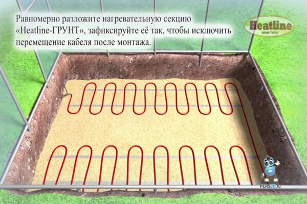 img3670713.png