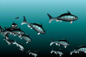 Стайка рыбок