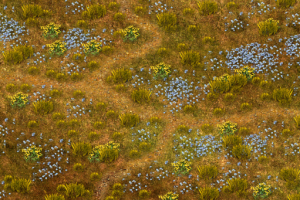 Локация степь