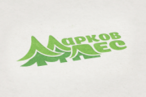 Работа 2677606