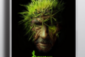 Афиша на фестиваль