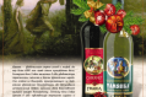 Русьимпорт (алкогольная компания)