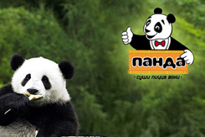 Работа 2617165