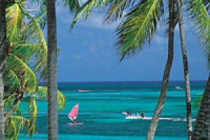 Статья - The article