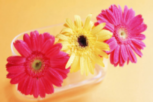 Поздравление для клиента!