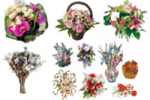 Слоганы для тейбл-тента агентства праздников