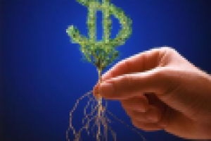 Реклама в стихах!