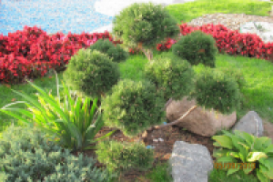 Красота гармонии!