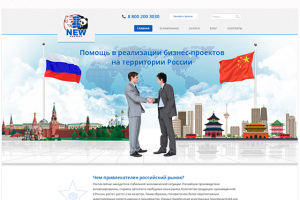 New Project, помощь в реализации бизнес-проектов на территории Р