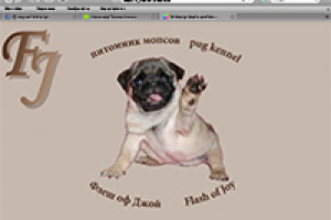 2006. Питомник мопсов