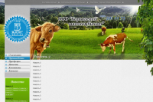 Сайт мясокомбината