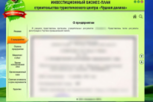 Презентация инвестиционного бизнес-плана