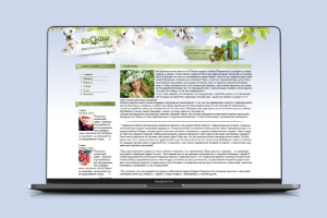 Главная страница Eco-line