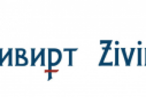 Зивирт - логотип для финансовой компании