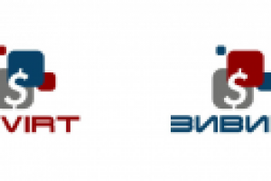 Зивирт - логотип для финансовой компании