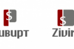 Зивирт - логотип для финансовой компании