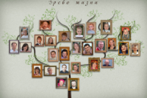 Древо жизни