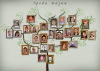 img2005535.png
