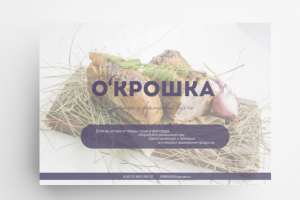 Презентация проекта для привлечения инвестиций