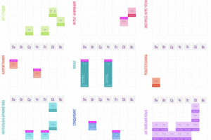 Дизайн онлайн-расписания