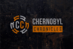 Работа 2415265