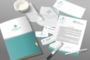 Логотип и ФС компании «Омега холдинг»