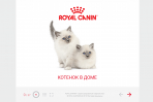 Онлайн-курс Royal Canin