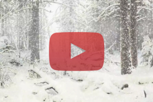 Анимация картины для сайта Arthive.com