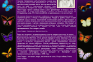 Анна Геддес. Увековечить быстротечность.