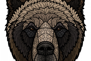 Медведь гризли